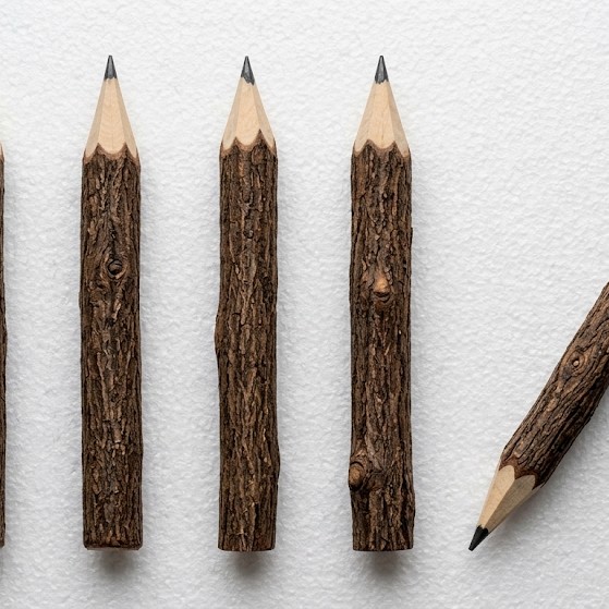 Handcrafted neem wood pencils, approximately 7 inches long